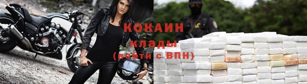 прущий лед Вяземский