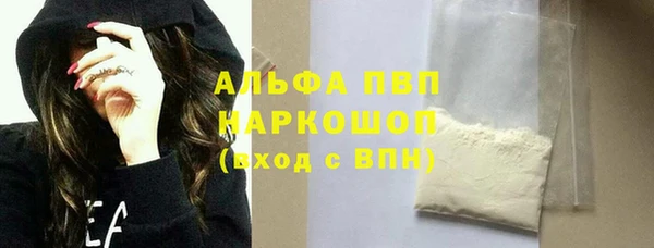 прущий лед Вяземский