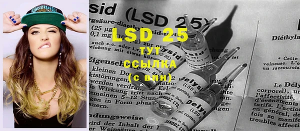 прущий лед Вяземский