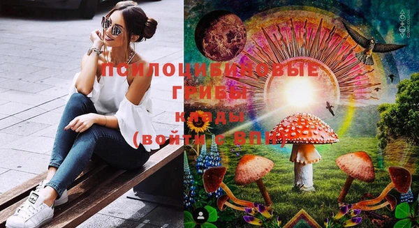 прущий лед Вяземский